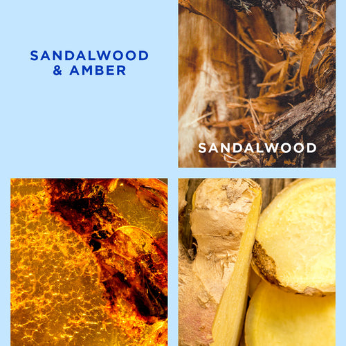 Sandalwood & Amber Reed Diffuser