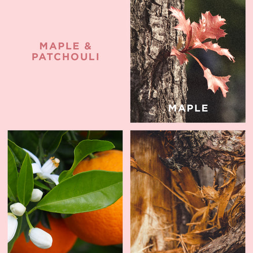 Maple & Patchouli Reed Diffuser