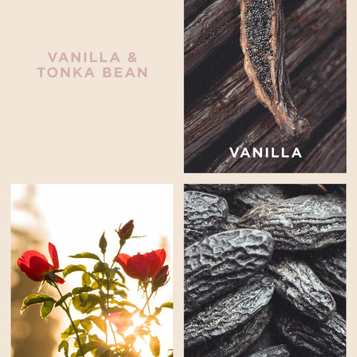 Vanilla & Tonka Bean Reed Diffuser