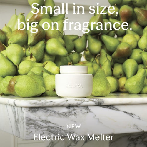 ECOYA 2026 Electric Wax Melter A5 Promo Block Insert NZ
