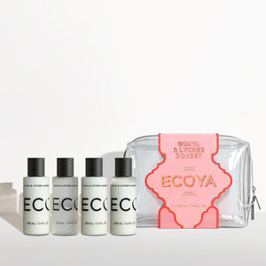 Guava & Lychee Sorbet Mini Takeaway Set Holiday Collection